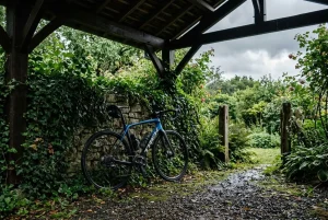 Vélo stocké dans un jardin couvert