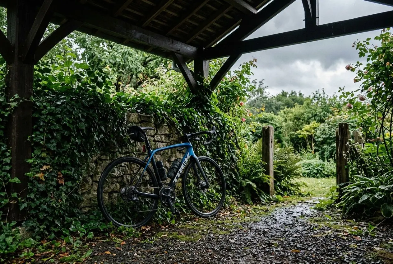 Vélo stocké dans un jardin couvert
